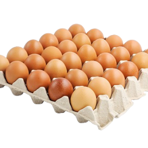 Telur Ayam Negeri 1kg